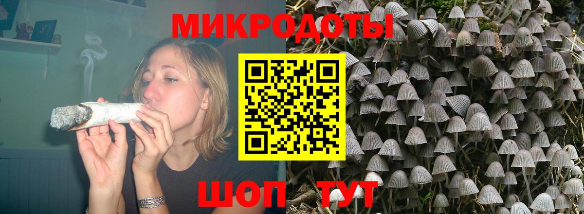 Псилоцибиновые грибы GOLDEN TEACHER Дзержинский