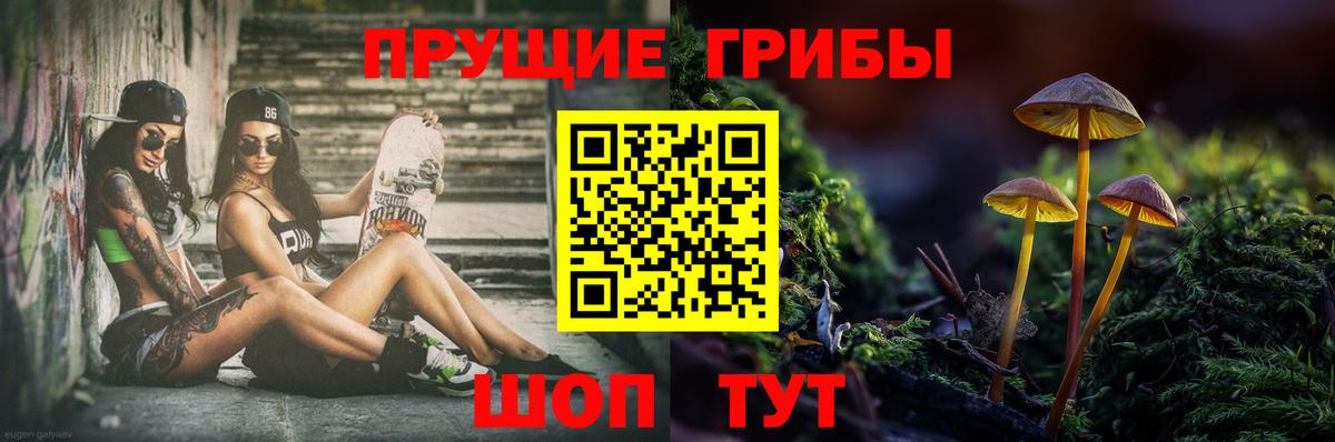 Дзержинский  Галлюциногенные грибы GOLDEN TEACHER  Вход с VPN 